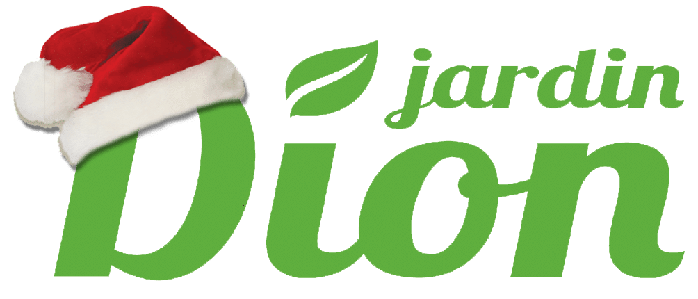 logo avec tuque de noël sans fond, sans slogan