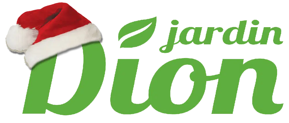 logo avec tuque de noël sans fond, sans slogan
