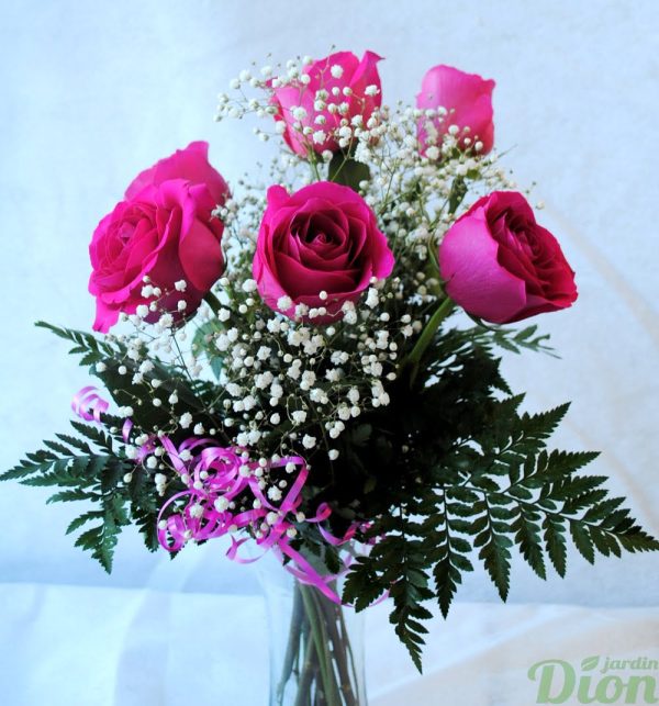 fb-0965-étincelle avec vase-6 roses-couleurs-bouquet-st-valentin-amour-vase