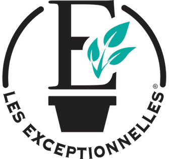 Les_exceptionnelles_Logo_Coul_Oct_2017 (1)