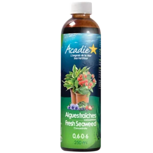 engrais algues fraîches acadie 250ml