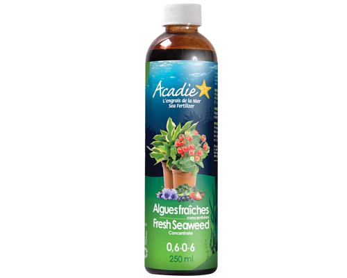 engrais algues fraîches acadie 250ml engrais algues fraîches acadie 250ml