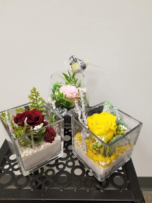 Fêtes des mères_arrangement assortis de rose éternelle