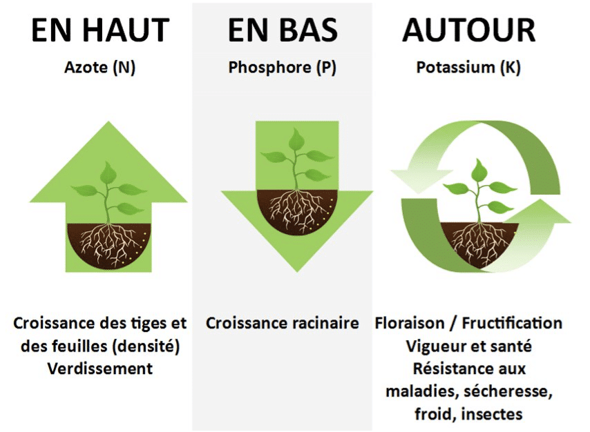 https://www.jardindion.com/wp-content/uploads/2022/04/comprendengrais_jd.png