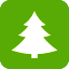 Sapins de Noël naturels