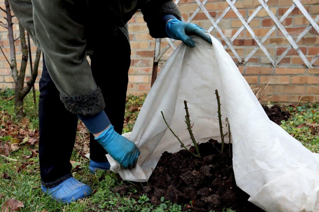 Des idées pour rendre les protections hivernales décoratives