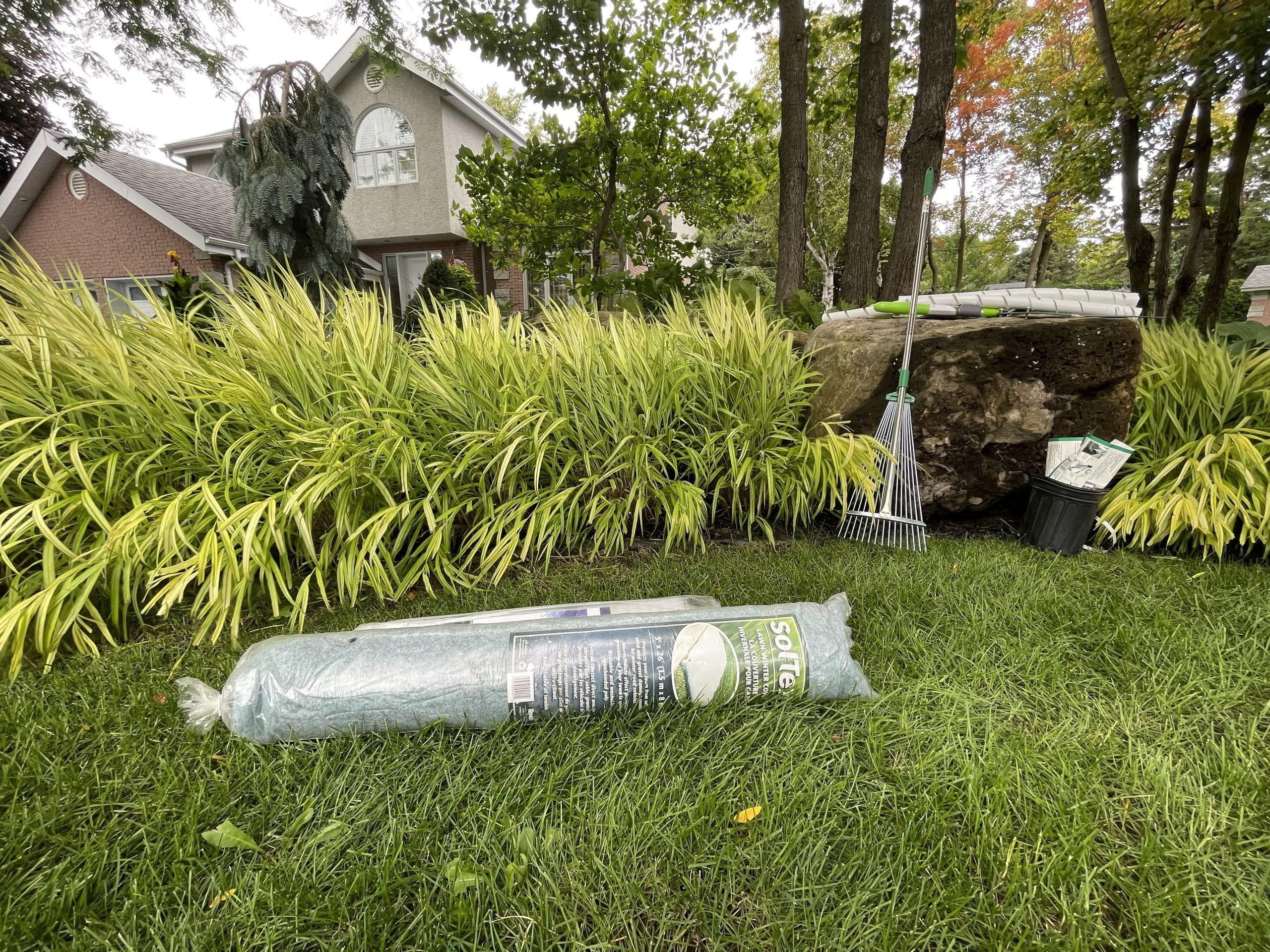 Protection hivernale des arbres, arbustes et plantes