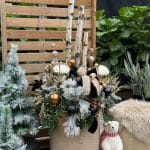 arrangements en pot