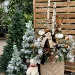 arrangements en pot