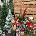 arrangements en pot