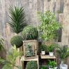 plantes artificielles