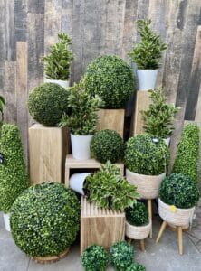 plantes artificielles