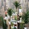 plantes artificielles