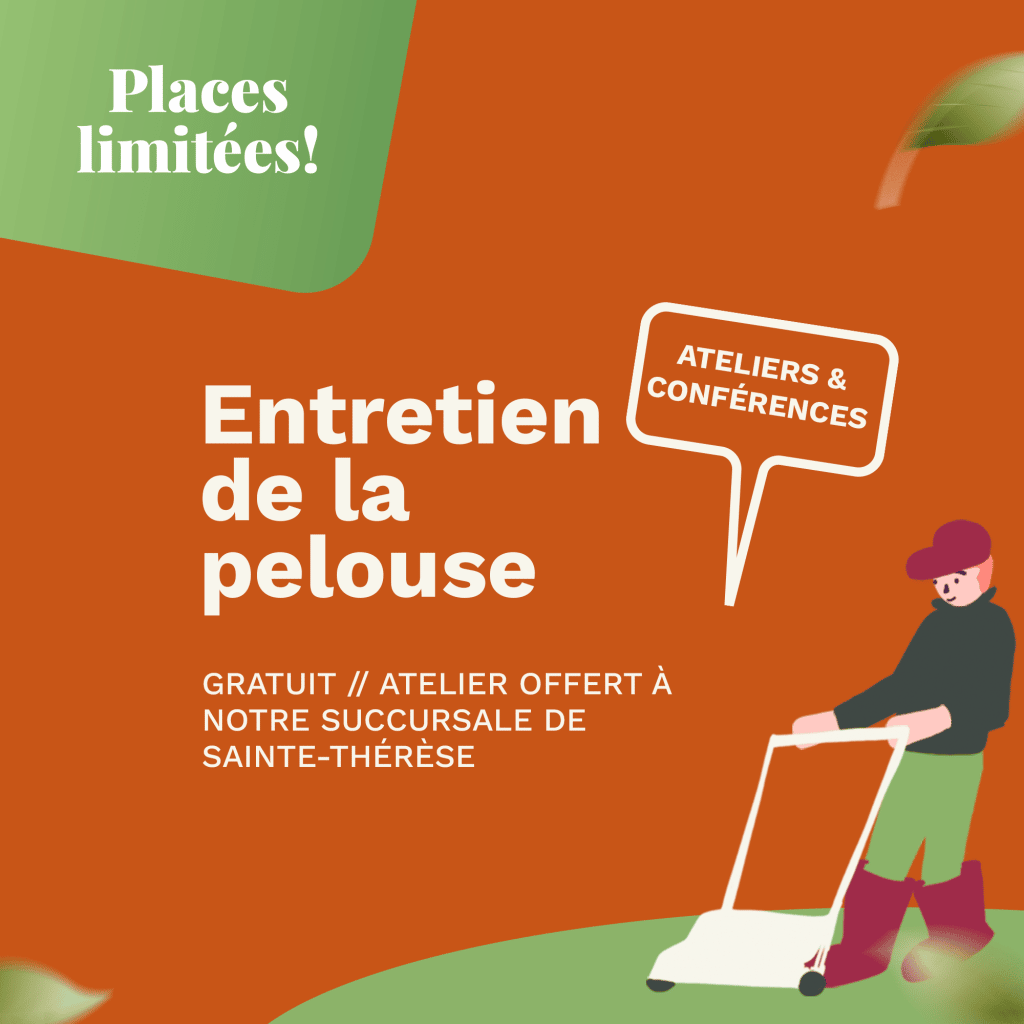 entretien de la pelouse (sainte thérèse)