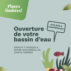 ouverture de votre bassin d’eau (sainte thérèse)