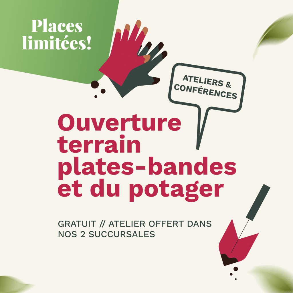 ouverture terrain plates bandes et potager (2 succursales)