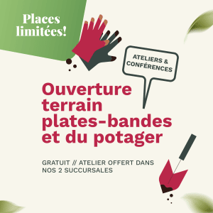 ouverture terrain plates bandes et potager (2 succursales)