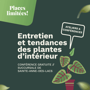 conférence sur entretien et tendances des plantes d’intérieur (sainte anne des lacs)