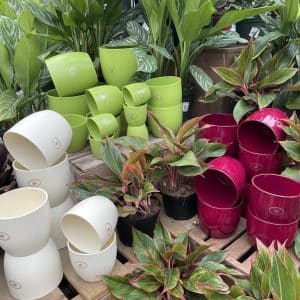 POTS