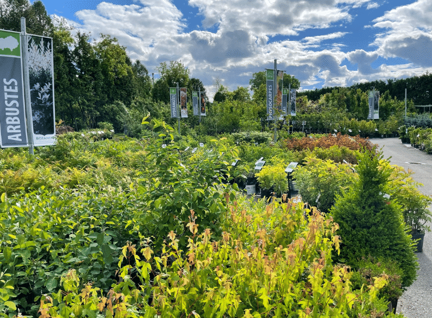 jardin dion jardinerie st