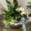 arrangement funéraire Équilibre parfait