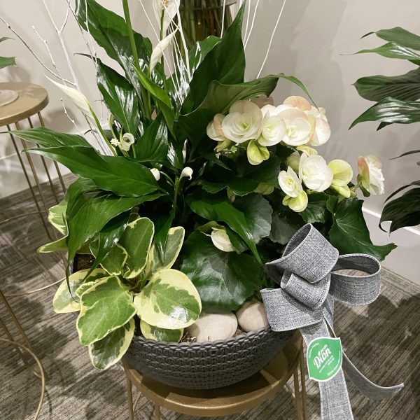 arrangement funéraire Équilibre parfait