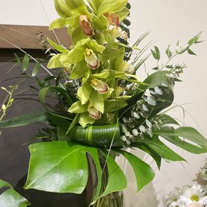arrangement funéraire vitalité