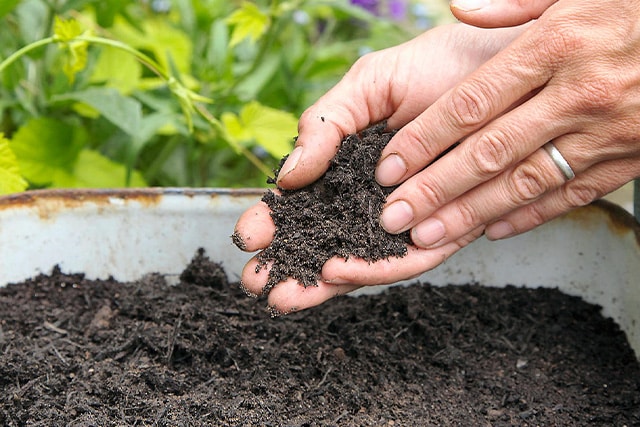 produits de jardinage compost et recuperation