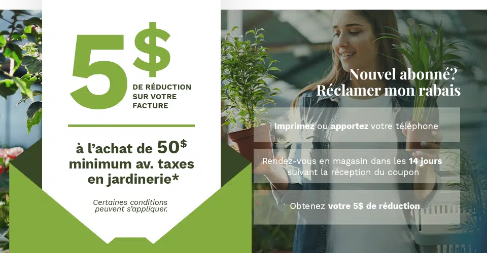 banniere 5 dollars abonnement infolettre jardindion 960x500