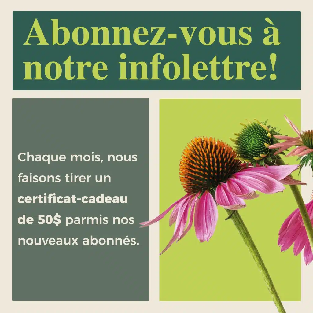 pop up juin2025