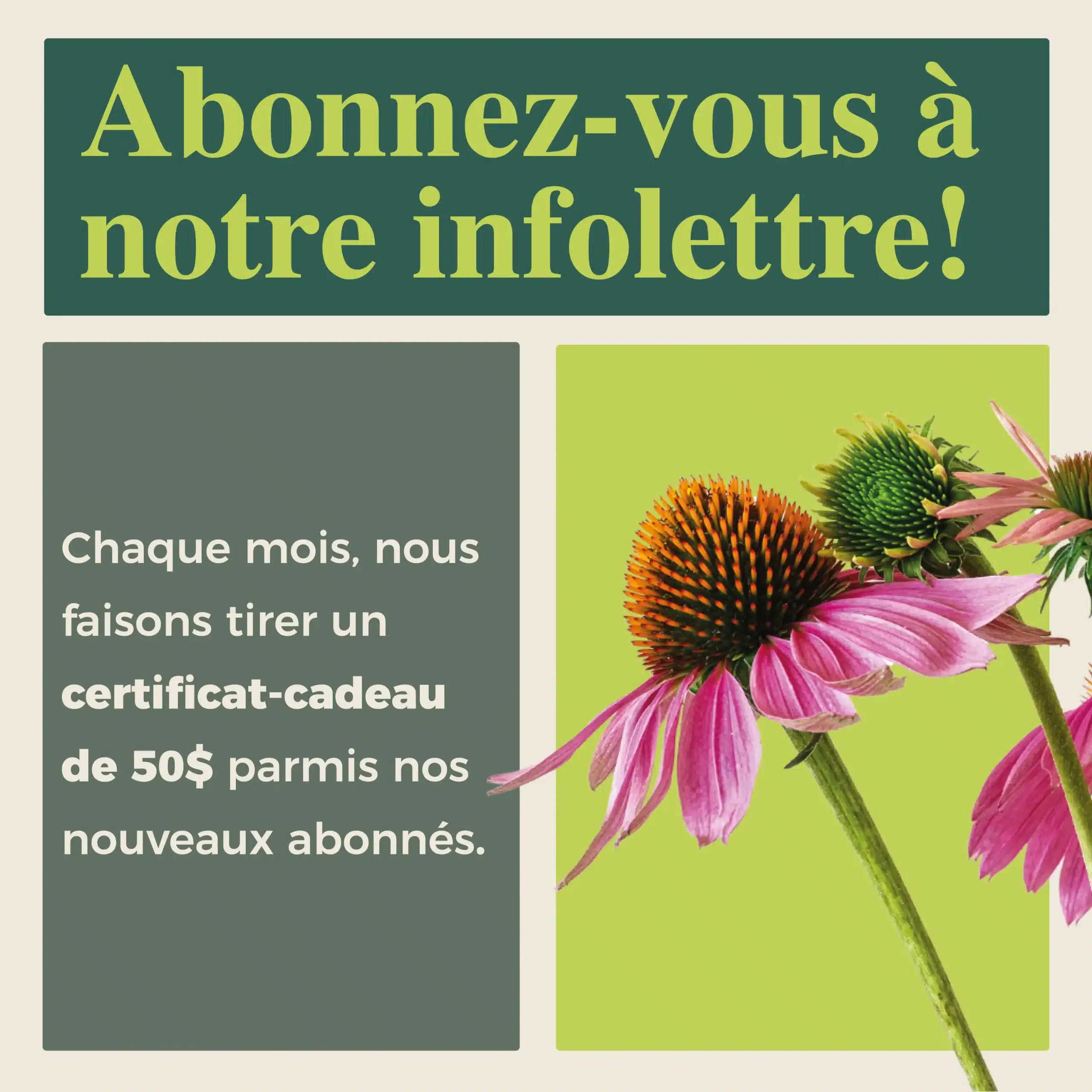 pop up juin2025