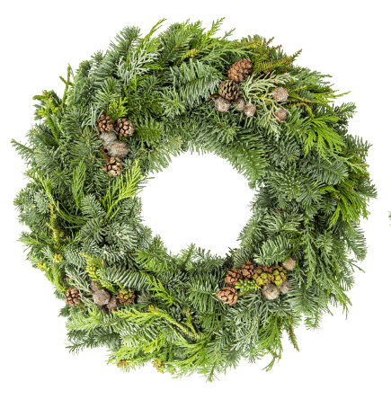 shutterstock 517412467 1