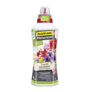 1402898 algoflash geraniums 8 6 6 500ml.jpg