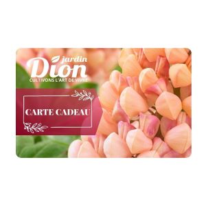 2062078 carte cadeau botanix.jpg