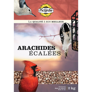 2653007d arachides ecalees 01.png