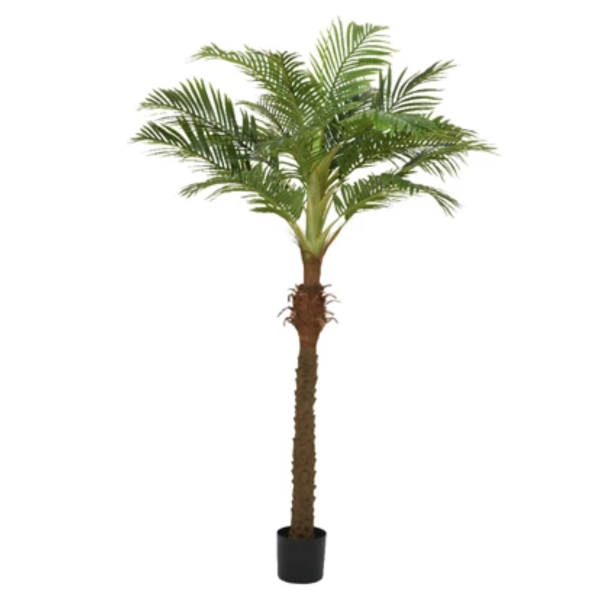 2824425 plante artificielle palmier 230cm 02.png