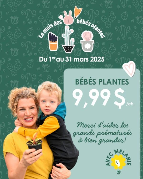 bÉbÉ plante nÉonatologie