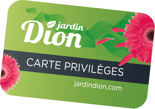 carte privileges viva magenta jd 2023 plan de travail 1 2