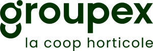 groupex logo+baseline vert rvb sans fond