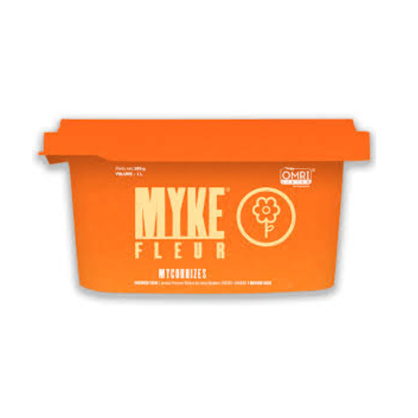 011g05 myke fleur 01.png