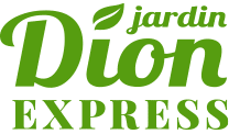 logo dion express
