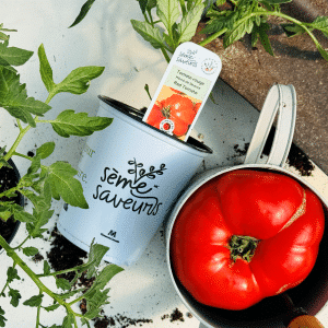 00005071d legume du patrimoine seme saveurs 1l 01.png