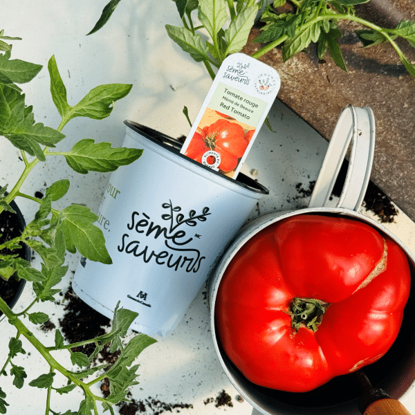 00005071d legume du patrimoine seme saveurs 1l 01.png