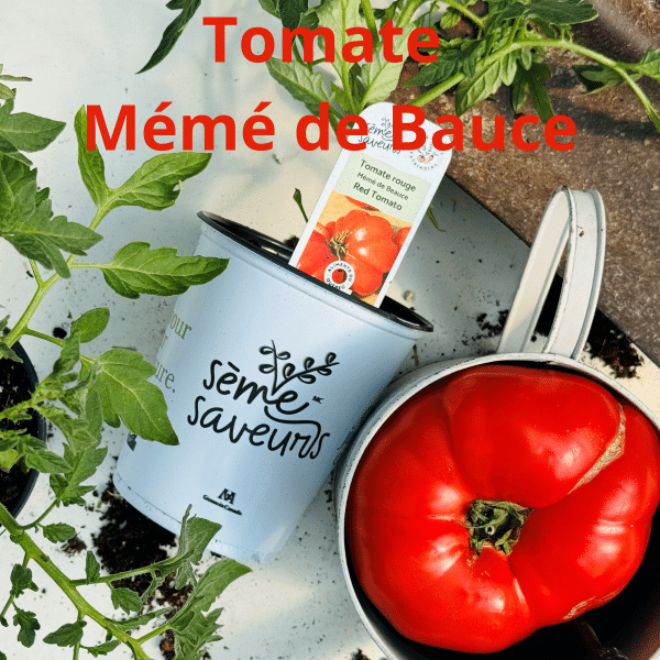 00005071d legume du patrimoine seme saveurs 1l 02.png