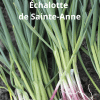 00005071d legume du patrimoine seme saveurs 1l 07.png