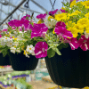 042g01 jardiniere jardin dion 02.png