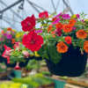 042g01 jardiniere jardin dion 03.png