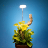 025g01 lampe ajustable pour plante 02.png