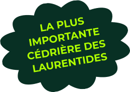 landing express dion pastille slider vertplusintimite