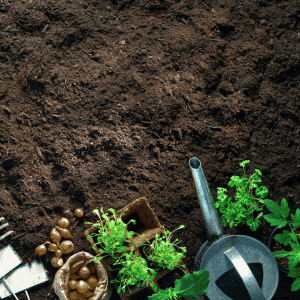 068g02 terre a jardin avec compost en vrac 01.png